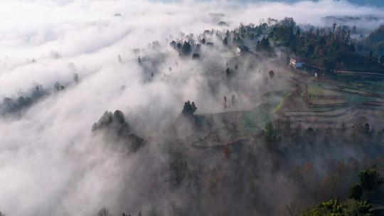 云雾生态大自然晨雾山川山林雾航拍