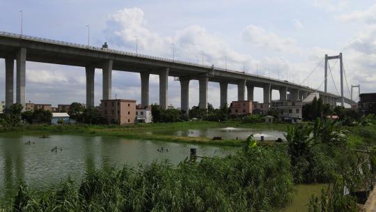 南沙大桥 广州 珠三角 桥梁 交通 大湾区