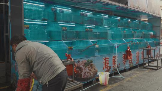 海鲜市场鱼缸里红鲤鱼视频素材模板下载