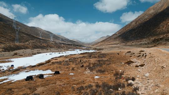 西藏旅游风光318国道雪山牧场