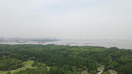 上海滨江森林公园4K原素材视频素材模板下载