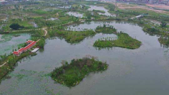 航拍厦门马銮湾双溪湿地公园