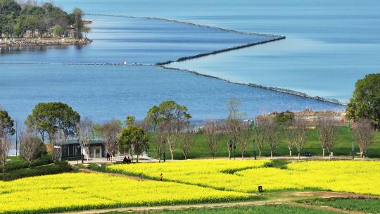 航拍春天乡村湖景油菜花田自然风景