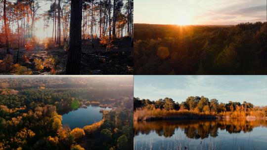 航拍秋天森林湖泊秋季秋景阳光穿过树林黄叶