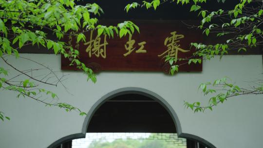 春天杭州乌龟潭阴雨天古建筑植物绿色自然