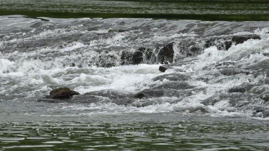 户外溪流河水流水波浪水景自然风景