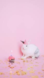 竖屏可爱的兔子戴着派对帽