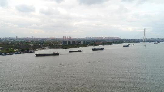 黄浦江上货轮视频素材模板下载