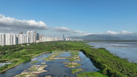 4K深圳福田红树林自然保护区蓝天白云航拍