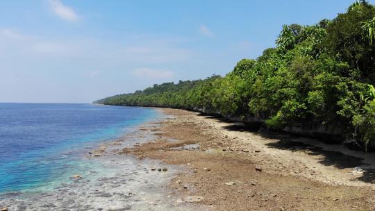 在一个有着清澈蓝色海水的岛屿上的海滩海滨鸟瞰图剪辑