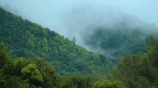 山水风景谷雨节气航拍森林自然空镜