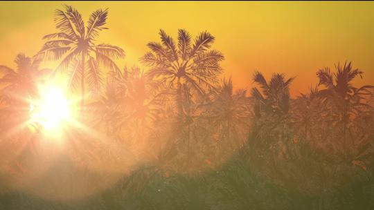 海岛椰树椰风海韵动画