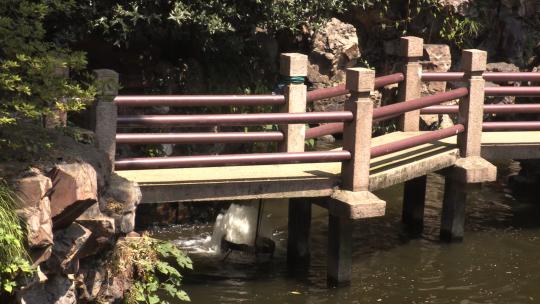 上海豫园中的石桥特写镜头
