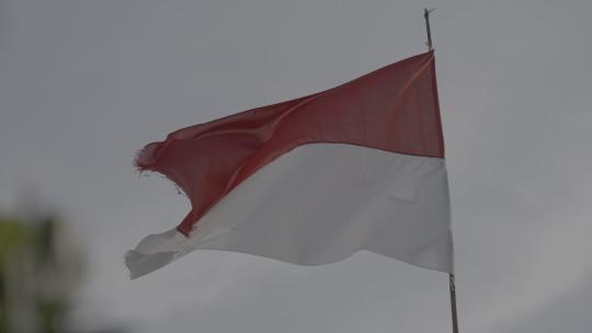 飘扬的印度尼西亚国旗视频素材模板下载
