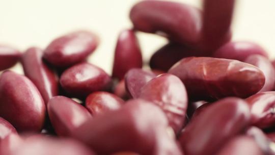微距红芸豆