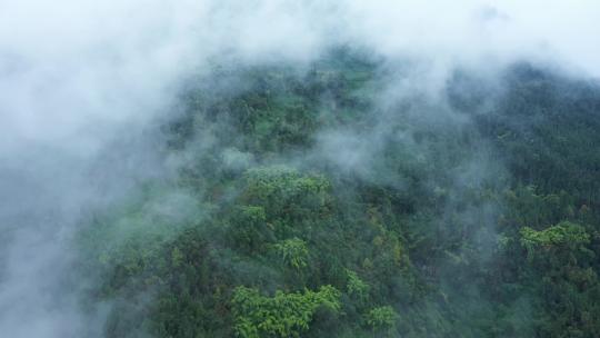 航拍雾气环绕的山林