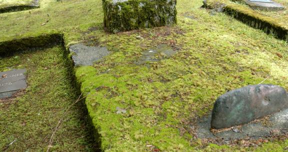 美国阿拉斯加乡村附近白天覆盖着地衣和苔藓的旧墓地。-倾斜-U