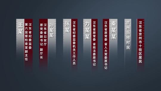 央视人名条字幕条