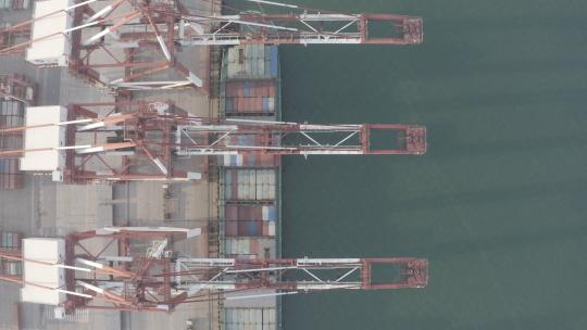 天津港港口视频素材模板下载