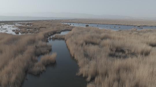 4k航拍新疆博斯腾湖