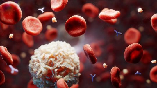 血细胞 白细胞 人类免疫系统对疾病的反应