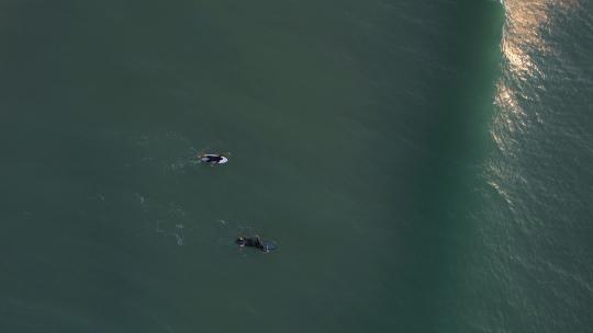 冲浪者在海面上冲浪