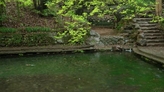 杭州云栖竹径春季清明节雨天古建筑自然唯美