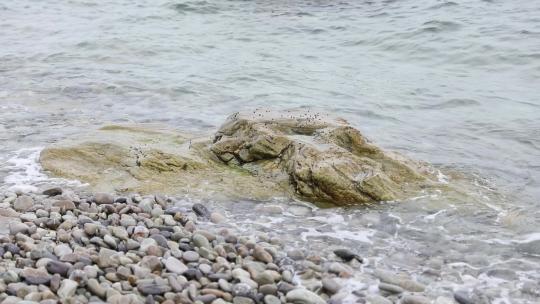h大连蛇岛海浪拍打岩石