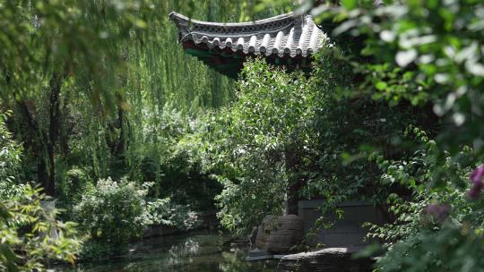 山东济南趵突泉风景区