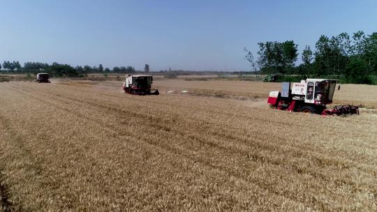 航拍小型机械收割小麦