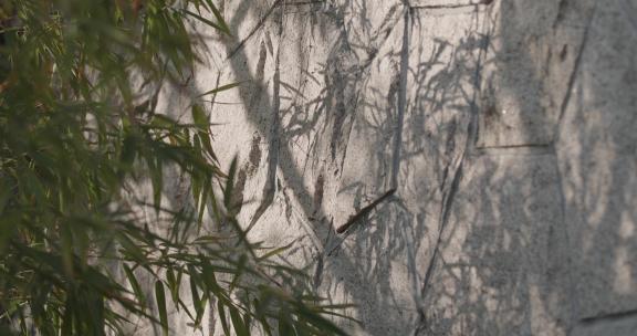 泥墙上的竹影子
