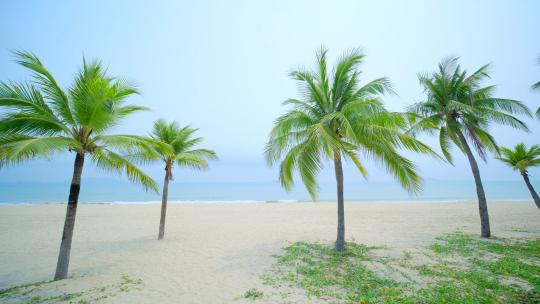 海南三亚椰梦长廊 椰树 椰子树 沙滩海滩