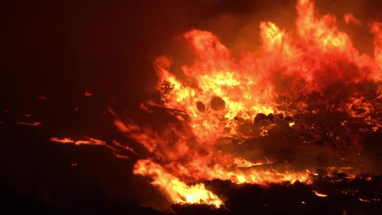 4k森林火灾大火航拍自然灾害生灵涂炭