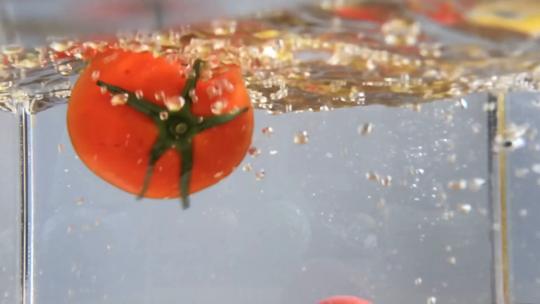 两个番茄入水
