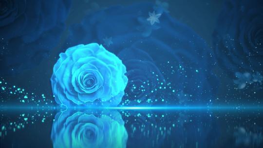 大气舞台花朵背景4K蓝