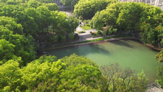 重庆西南大学校园人工湖水景观航拍