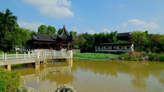 中式 园林 庭院 池塘 凉亭