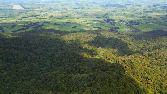 新西兰航拍森林山脉自然