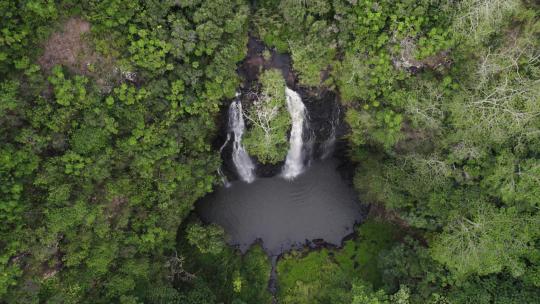 著名威卢阿瀑布的美丽电影航拍镜头。考艾岛的丛林景观机智视频素材模板下载
