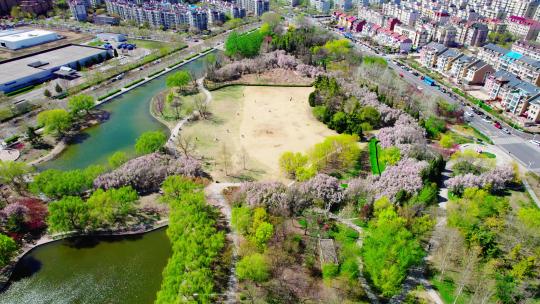 天津现代化城市公园绿地休闲生活