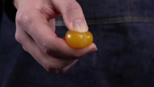 小黄番茄创意视频