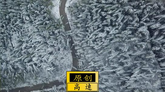 合集雪天竹林乡村风光高清在线视频素材下载