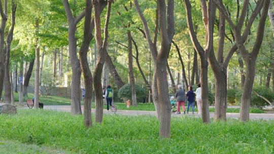 一组公园散步镜头