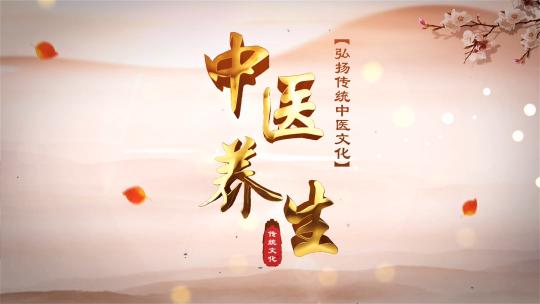 原创大气中国风健康养生中医片头AE模板