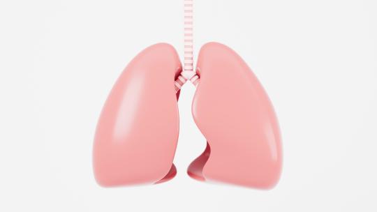 肺部呼吸膨胀收缩动画