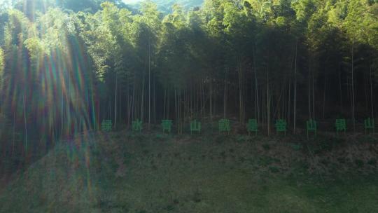 杭州西山森林公园航拍视频素材模板下载