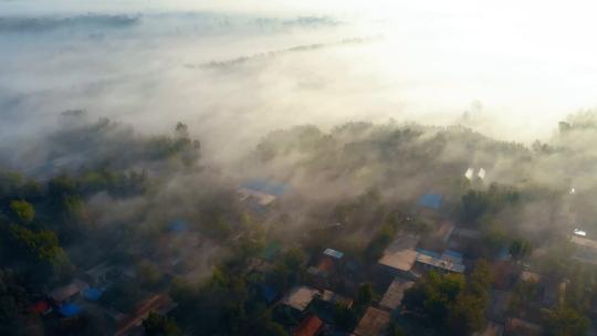 航拍清晨雾气缭绕的乡村