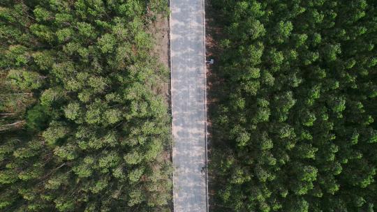 航拍汽车行驶森林里的公路