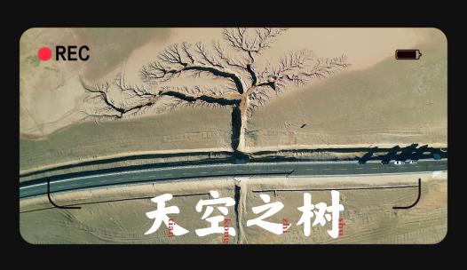 西藏阿里地区的天空之树-2视频素材模板下载