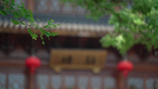 杭州下天竺寺庙鼓楼前的树叶随风飘动